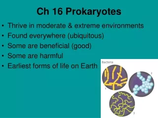 Ch 16 Prokaryotes