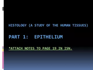 Histology (A Study of the Human Tissues) Part 1:  Epithelium *ATTACH NOTES TO PAGE 19 IN  isn .