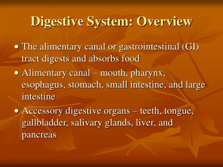 digestive system overview