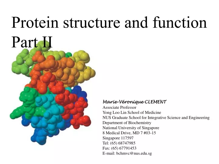 protein structure and function part ii