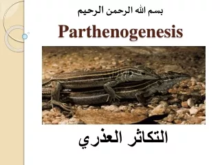 بسم الله الرحمن  الرحيم Parthenogenesis