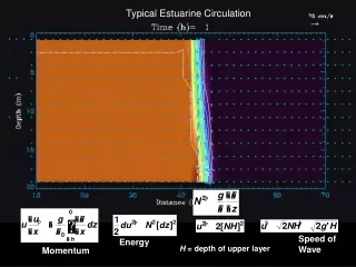 Typical Estuarine Circulation