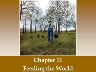 Chapter 11 Feeding the World
