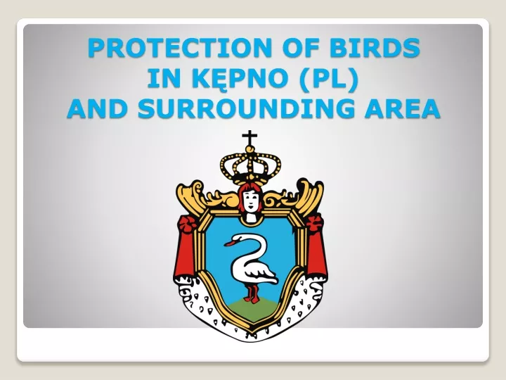 protection of birds in k pno pl and surrounding area