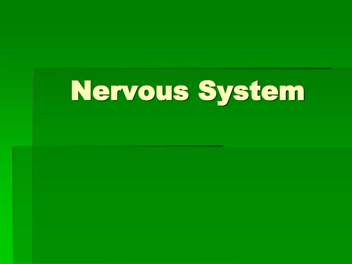 nervous system