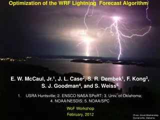 Optimization of the WRF Lightning  Forecast Algorithm