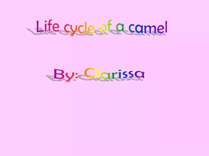 life cycle of a camel