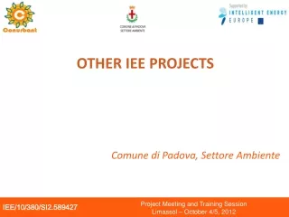 OTHER IEE PROJECTS