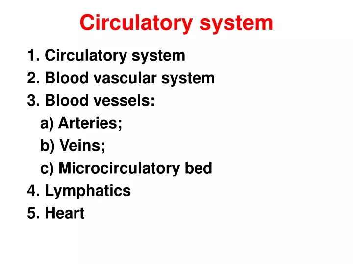 circulatory system