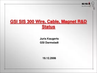 GSI SIS 300 Wire, Cable, Magnet R&amp;D Status