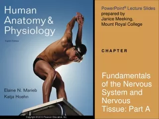 Fundamentals of the Nervous System and Nervous Tissue: Part A