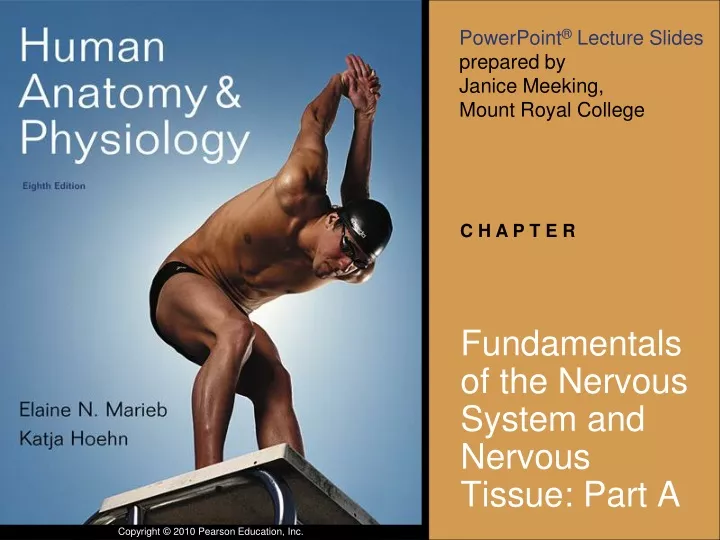 fundamentals of the nervous system and nervous tissue part a