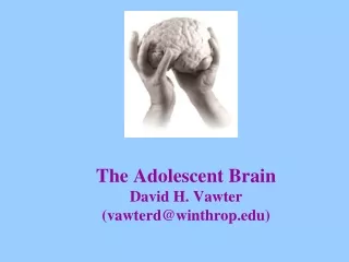 The Adolescent Brain David H. Vawter (vawterd@winthrop)