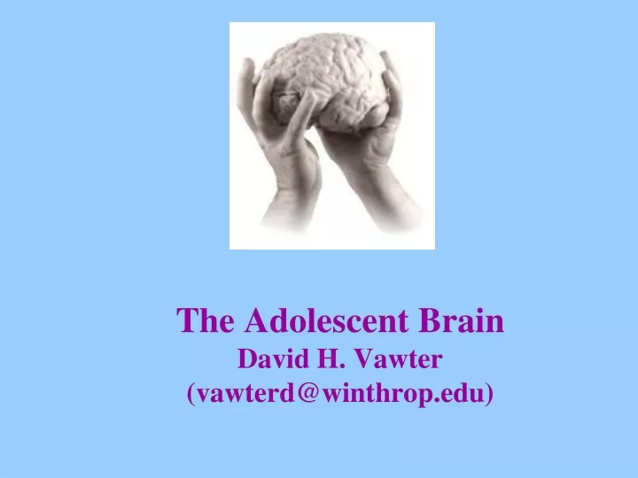 the adolescent brain david h vawter vawterd@winthrop edu