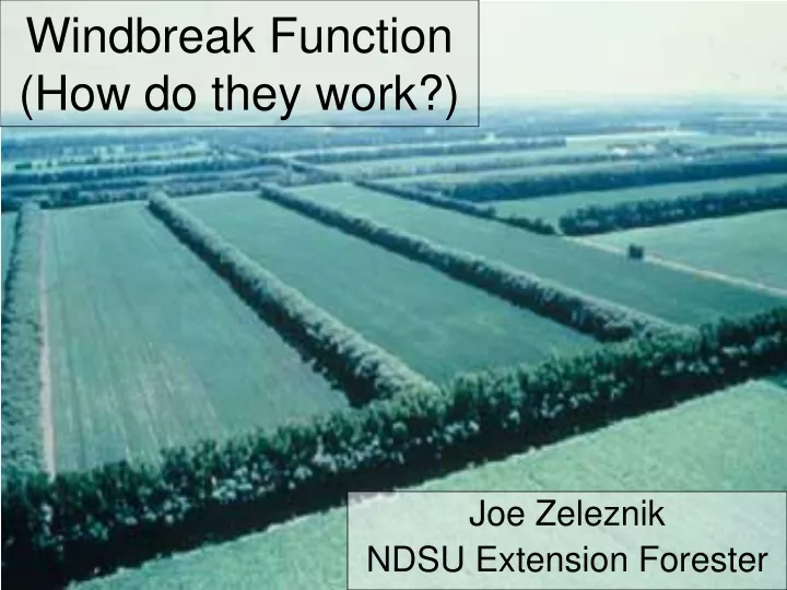 windbreak function how do they work