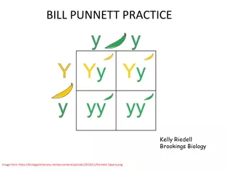 BILL PUNNETT PRACTICE