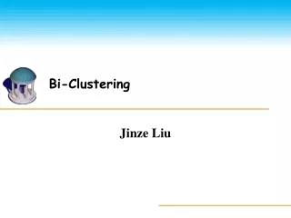 Bi-Clustering