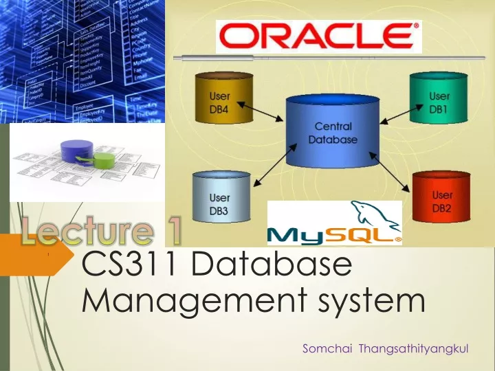 cs311 database management system
