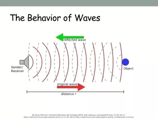 The Behavior of Waves