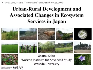 Urban-Rural Development and Associated Changes in Ecosystem Services in Japan