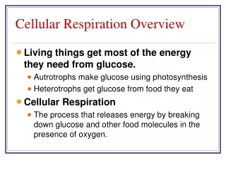 Cellular Respiration Overview