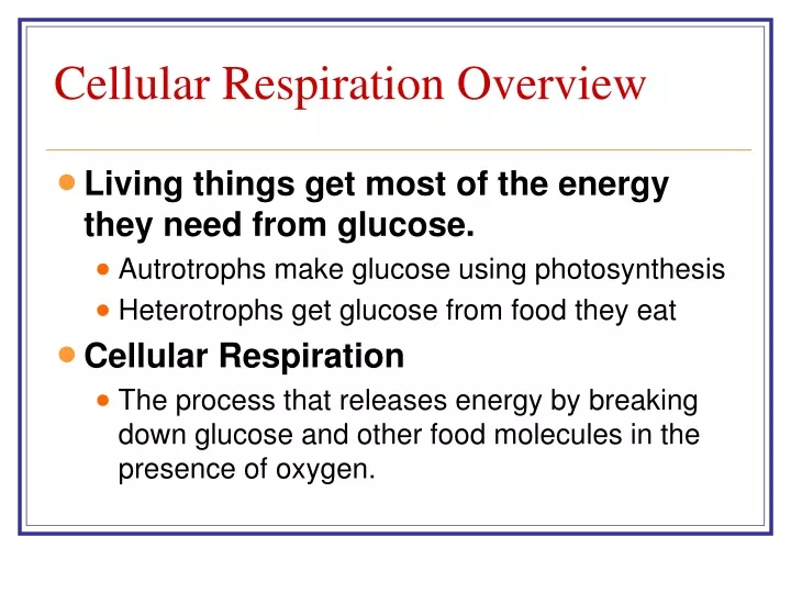 cellular respiration overview