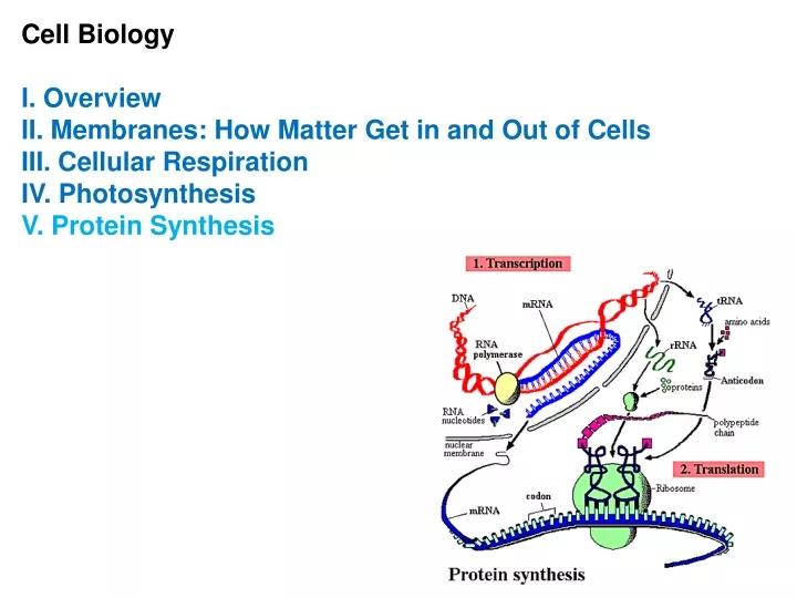 cell biology i overview ii membranes how matter