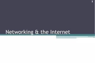 Networking &amp; the Internet