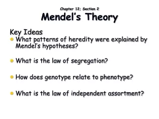 Chapter 12; Section 2 Mendel’s Theory