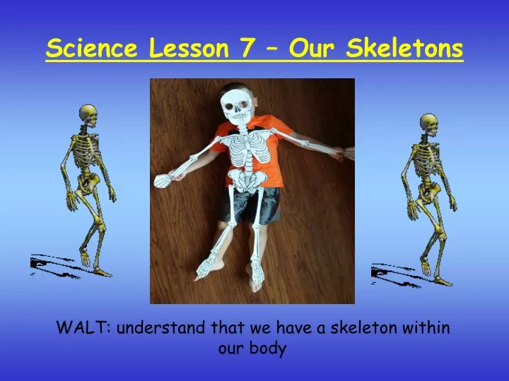 science lesson 7 our skeletons
