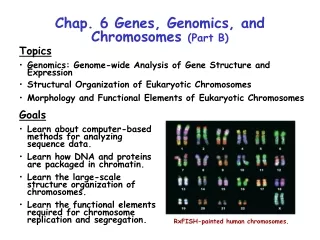 Chap. 6 Genes, Genomics, and Chromosomes  (Part B)