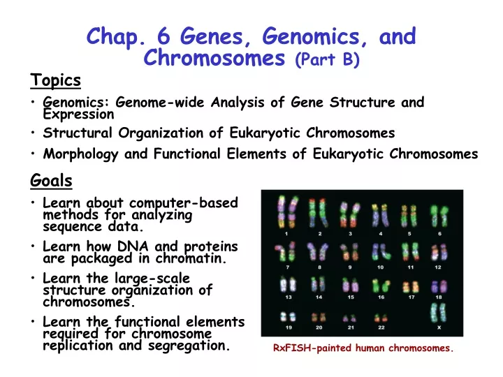 chap 6 genes genomics and chromosomes part b