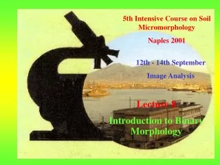 5th Intensive Course on Soil Micromorphology  Naples 2001
