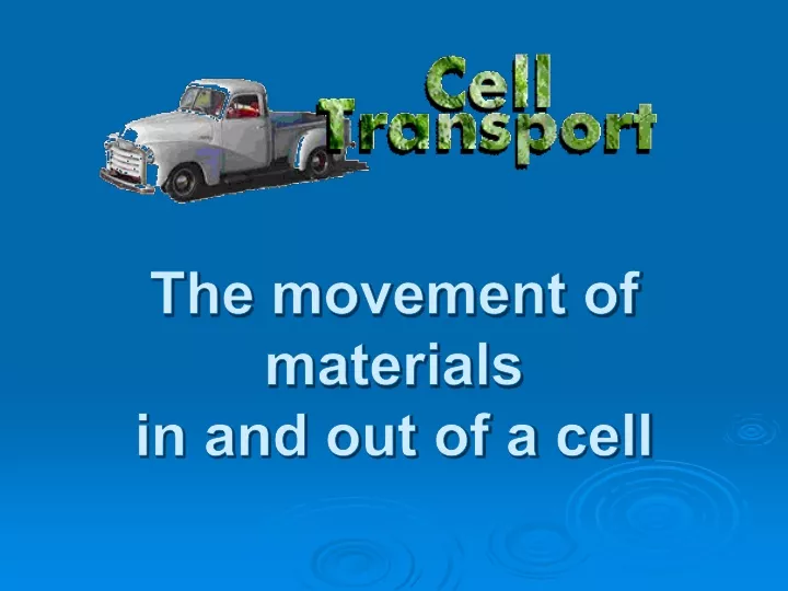 the movement of materials in and out of a cell