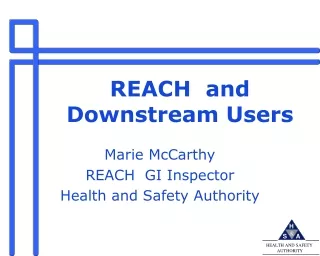 REACH  and   Downstream Users