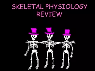 SKELETAL PHYSIOLOGY REVIEW