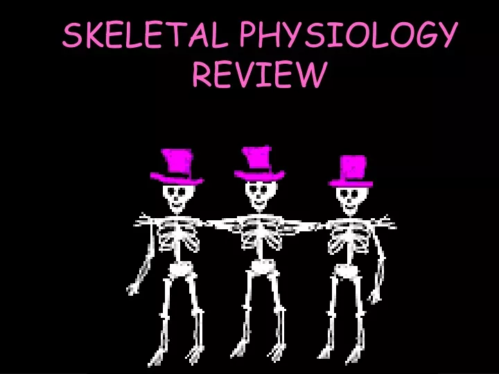 skeletal physiology review