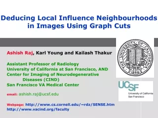 Deducing Local Influence Neighbourhoods in Images Using Graph Cuts