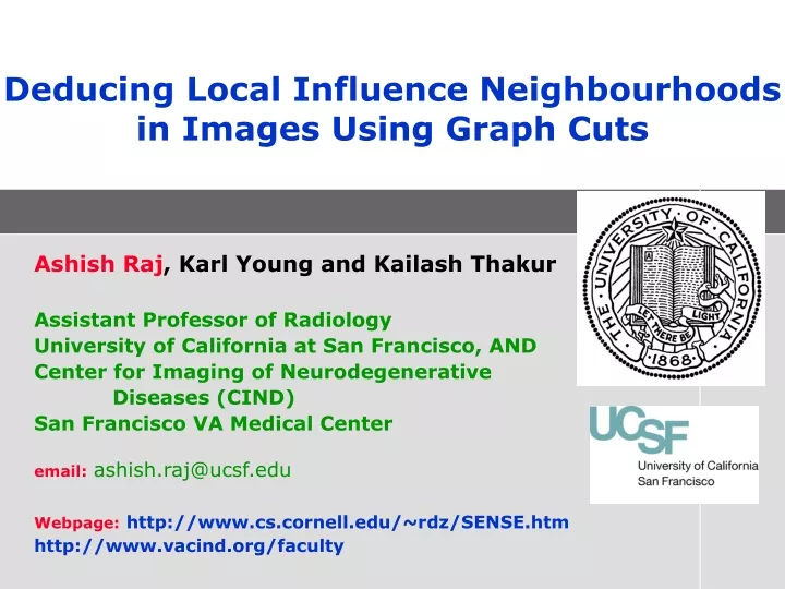 deducing local influence neighbourhoods in images using graph cuts