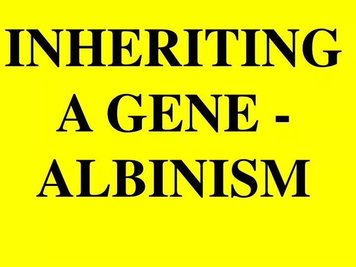 inheriting a gene albinism