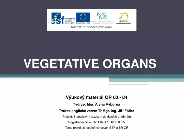 vegetative organs