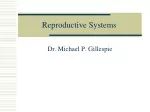 Reproductive Systems - slide 1