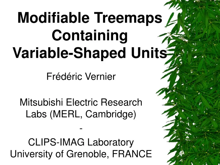 modifiable treemaps containing variable shaped units