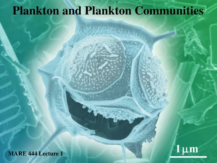 plankton and plankton communities