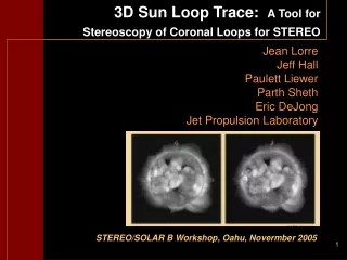 3D Sun Loop Trace:   A Tool for  Stereoscopy of Coronal Loops for STEREO