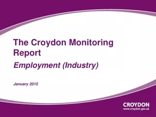 The Croydon Monitoring Report