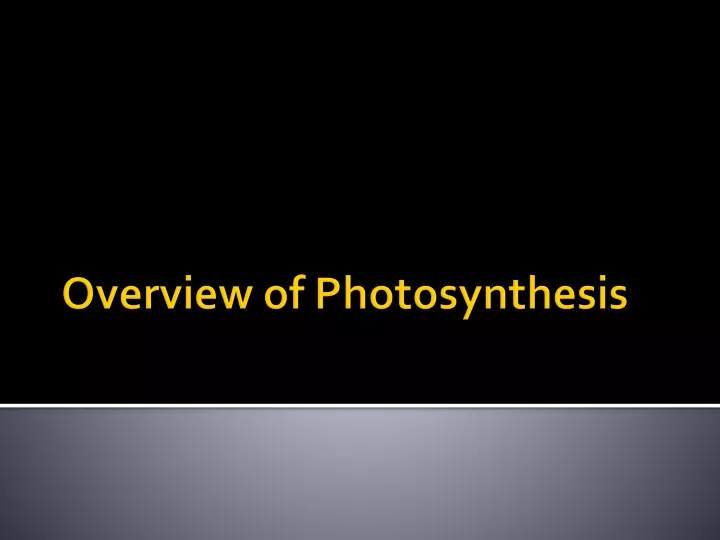 overview of photosynthesis