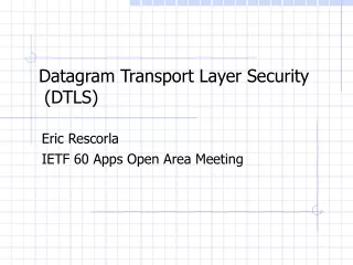Datagram Transport Layer Security  (DTLS)