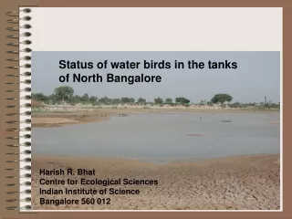 Status of water birds in the tanks  of North Bangalore