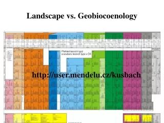 Landscape vs. Geobiocoenology